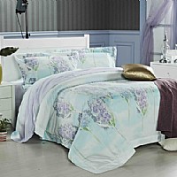 ���m�_(d��)