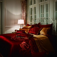 ����ҹ֮��(m��ng)