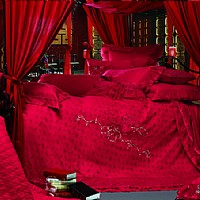 �鶨����-��t