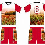 ������(zhu��n)�I(y��)���������A������@��������