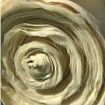 ��ȼ�o����