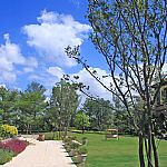 �����خa�x��������